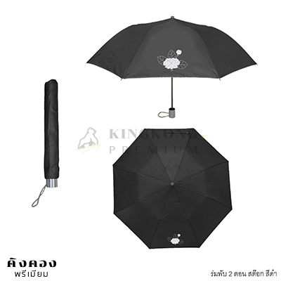 ร่มพับสองตอน (13)